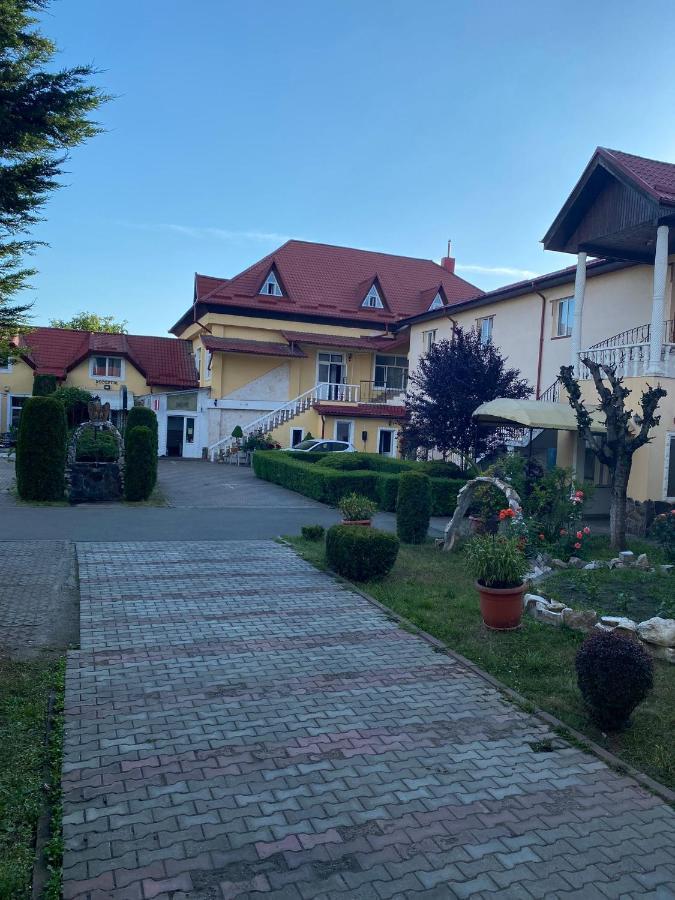 Pensiunea Viena Targu Mures Ngoại thất bức ảnh
