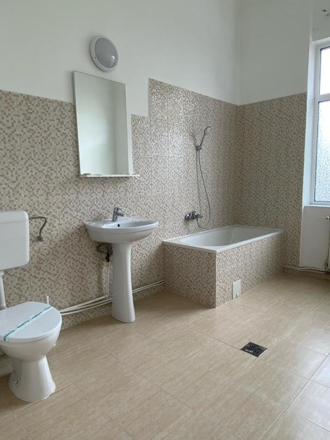 Pensiunea Viena Targu Mures Ngoại thất bức ảnh