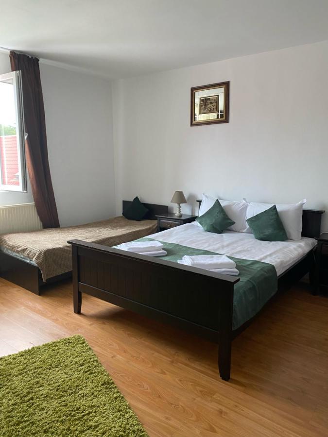 Pensiunea Viena Targu Mures Ngoại thất bức ảnh