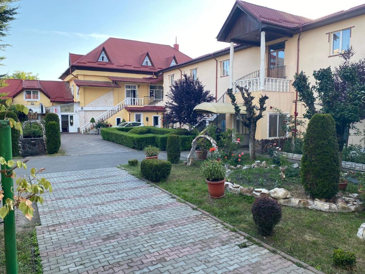 Pensiunea Viena Targu Mures Ngoại thất bức ảnh